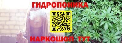 спайс Гагарин